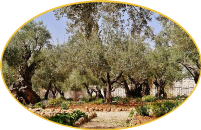 · Semana Santa · Jardines de Getsemani · Holy Week · · Semana Santa · Jardines de Getsemani · Holy Week ·