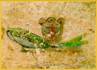 · Catacumbas de San Calixto · Catacomb of Callixtus · Fresco de los panes y el pez · Roma, s. III d. JC. · · Catacumbas de San Calixto · Catacomb of Callixtus · Fresco de los panes y el pez · Roma, s. III d. JC. ·
